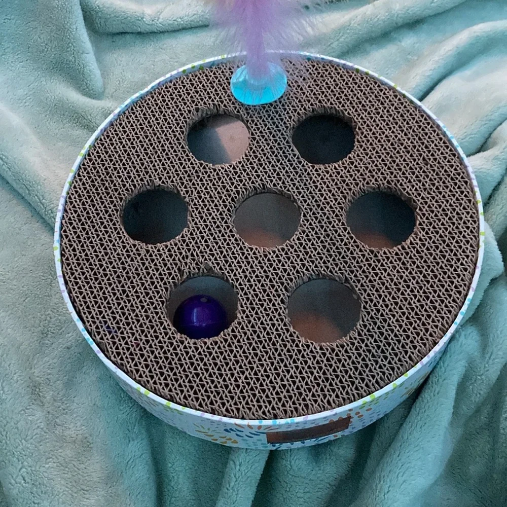 Interactive Cat Toy with Feather